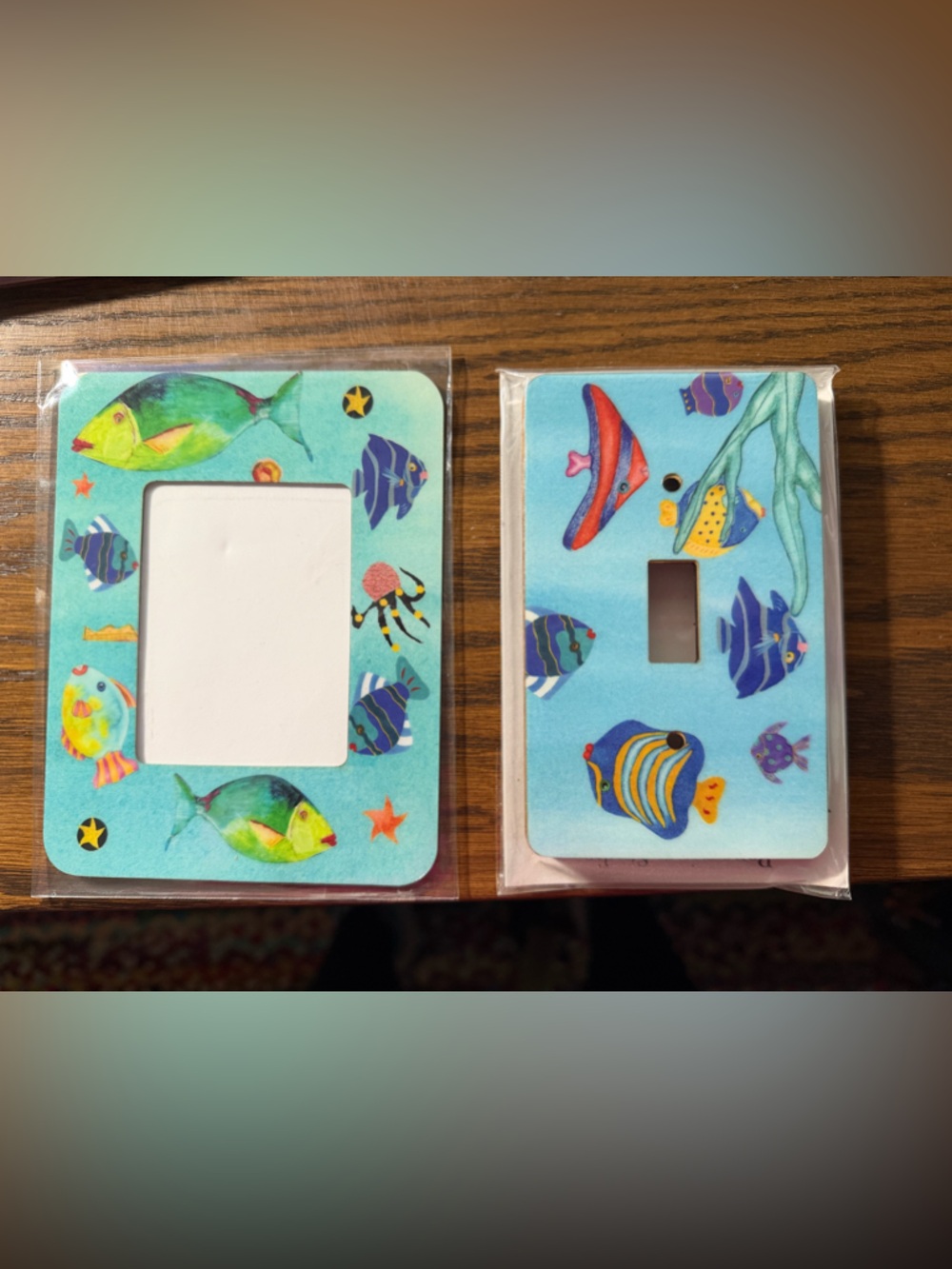 Frame and light switch cover